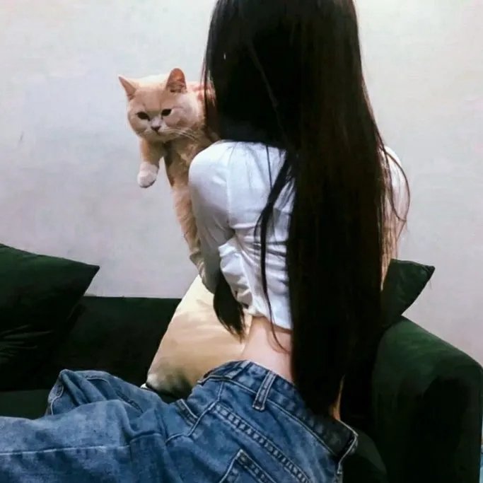 隆美尔宝藏